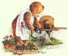 postkort_001.jpg (26579 byte)