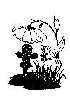alfe11.gif (20000 byte)