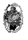 enkeltbuket_17.gif (50240 byte)