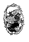 enkeltbuket_35.gif (50240 byte)