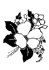 enkeltbuket_31.gif (2369 byte)