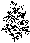 enklebuket_02.gif (48404 byte)