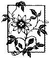 enklebuket_03.gif (15074 byte)