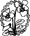 enklebuket_10.gif (16346 byte)