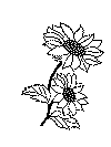 enklebuket_16.gif (10458 byte)