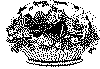 kurv_05.gif (79426 byte)