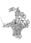 kurv_11.gif (32067 byte)