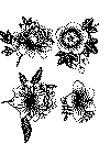 uro_22b.gif (29702 byte)