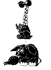 elefant_01a.gif (14666 byte)