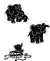 elefant_7.gif (22874 byte)