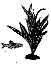 fisk9c.gif (13364 byte)