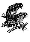 ara01.gif (20913 byte)