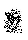 fugl01.gif (37368 byte)