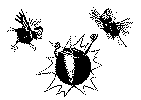 fugl07b.gif (12691 byte)