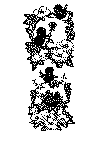 fugl08c.gif (38118 byte)