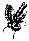 sfugl2.gif (38521 byte)