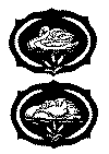 svane2b.gif (16652 byte)