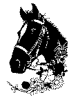 hest2.gif (41107 byte)