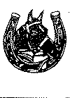 hest4.gif (56065 byte)