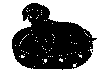 hund14a.gif (11245 byte)