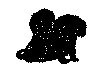 hund14c.gif (8904 byte)