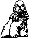 hund1.gif (13939 byte)