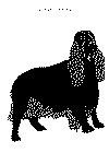 hund2.gif (31206 byte)
