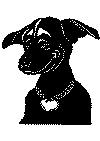 hund4.gif (11553 byte)