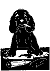 hund5.gif (27603 byte)