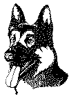 hund6.gif (59848 byte)