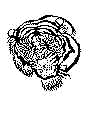 tiger_01.gif (34429 byte)