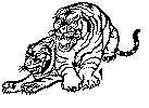 tiger_2.gif (39214 byte)