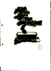 japan_28.gif (14008 byte)