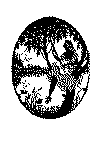 ro_enk_12.gif (27263 byte)