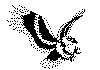 eagel_3.gif (30490 byte)