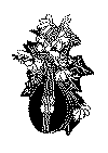 musik_02b.gif (27185 byte)