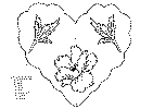 alfe_5_lap.gif (16284 byte)