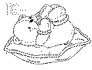 bamse_18a.gif (13872 byte)
