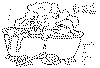 paddingtonuro01a.gif (24186 byte)